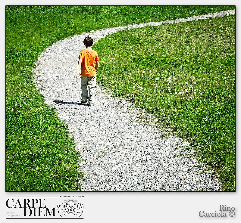 La mia strada.jpg - Little boy wearing an orange T-shirt walking on a path in a green meadow. Focus on boy.